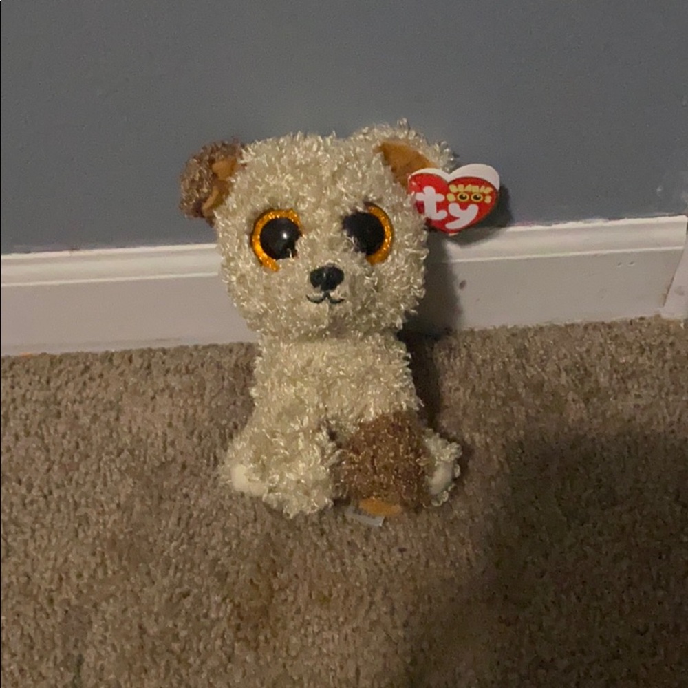 Beanie boo ( cute curly brown dog )